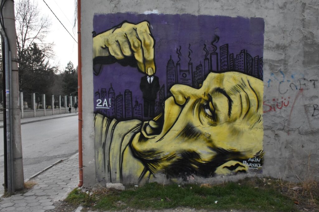 Fine arts student creates street stories on walls of Eskişehir