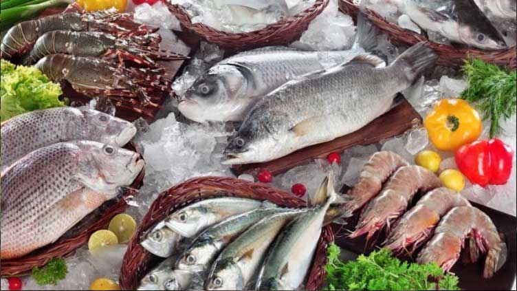 Sea food exports increase by 12.98pc to 1.6 million