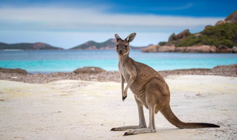 The best 50 beaches in the world: Australia, Seychelles and Philippines take top spots