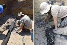 World’s oldest wooden structure discovered in Zambia