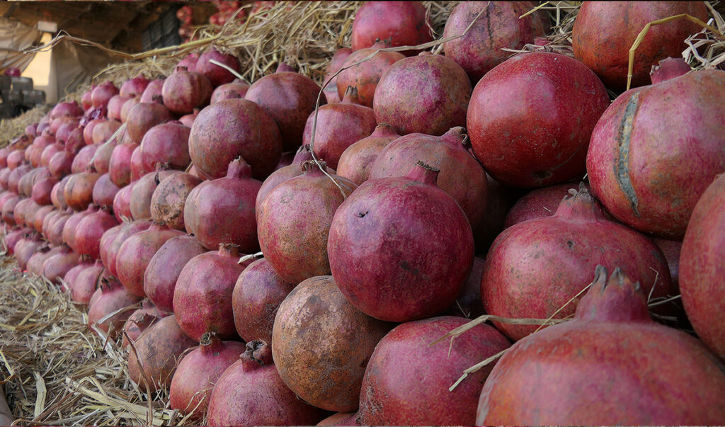 Rising tensions on Pakistan-Afghanistan border threaten trade of prized ‘Kandahari’ pomegranate