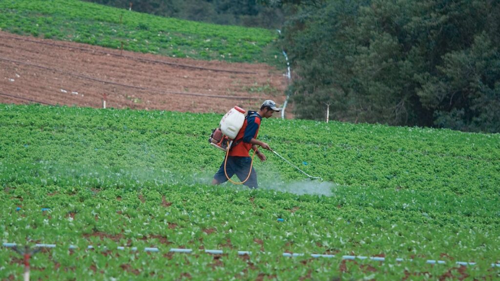 Brazil authorities crack down on illegal pesticides trade