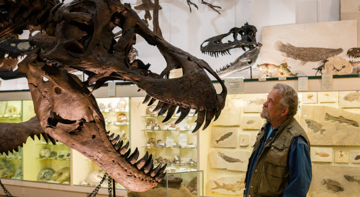 Dinosaur skeleton breaks auction record with .6 mn sale in New York