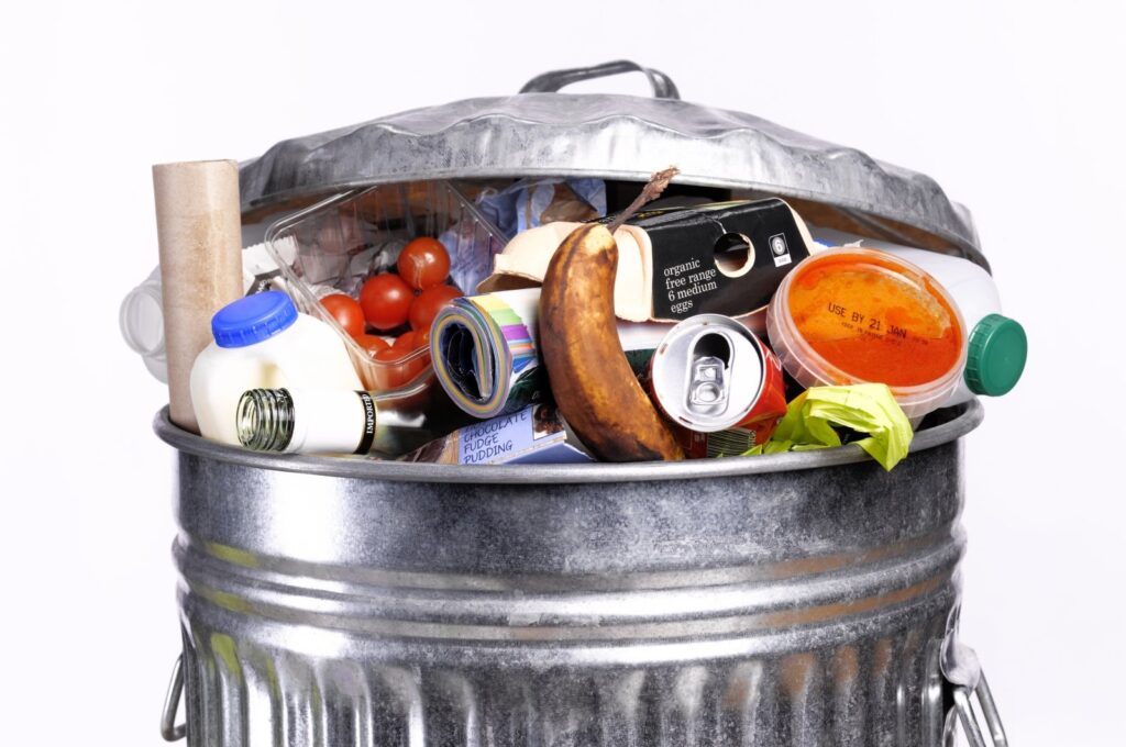 Food waste reduction key to climate, hunger crisis: Report